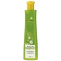 Herbal Beauty - Cleansing Lotion on Medicinal Herbs